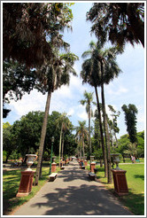 Palm-lined path, Parque Lezama, San Telmo District.