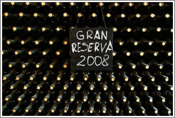 Bottles labeled "Gan Reserva 2008", Roberto Bonfanti, Luj?de Cujo.
