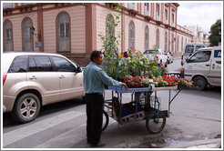 Flower vendor at the corner of Calle Espa?nd Calle Pueyrred