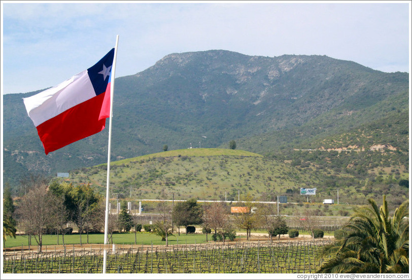 Vineyard, mountains and a Chilean flag.  Veramonte Winery.