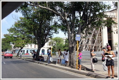 Bus stop, Avenida Salvador Allende (Carlos III).
