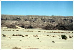 Sinai Desert (grey and beige, with shrubs).