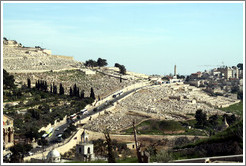 Jerusalem Cemetery, Mount of Olives, viewed from the Yeusefiya cemetery, Jerusalem.