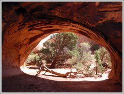 Navajo Arch.
