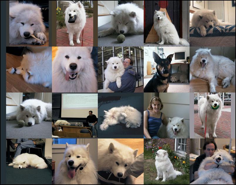 Collage of Alex photos.