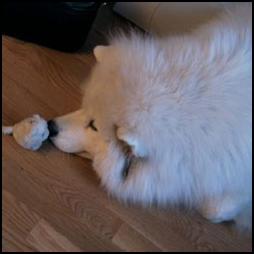 Alex with mouse keychain.