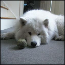 Alex with ball.