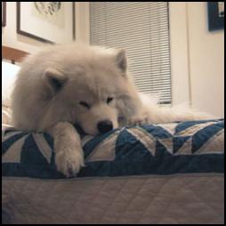 Alex on the bed.