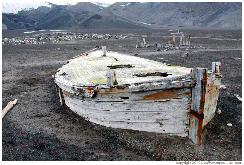 Boat remains, Whaler's Bay.