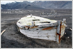 Boat remains, Whaler's Bay.