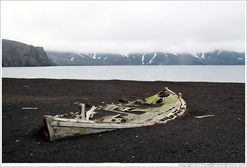 Boat remains, Whaler's Bay.