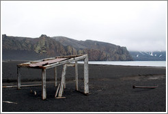 Building remains, Whaler's Bay.