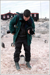 Baby Gentoo Penguin inspecting Trent.