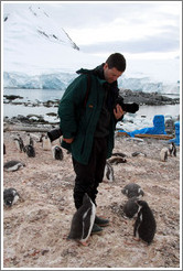 Baby Gentoo Penguin inspecting Trent.