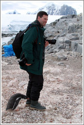 Baby Gentoo Penguin inspecting Trent.