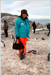 Baby Gentoo Penguins inspecting Tom.