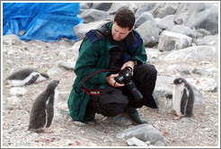 Baby Gentoo Penguins inspecting Trent.