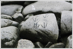 Gentoo Penguin footprints on rocks.