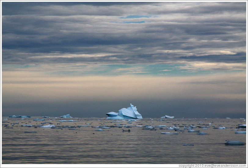 Icebergs.