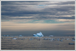 Icebergs.