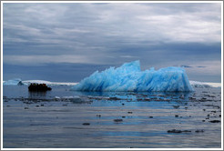 Blue iceberg and zodiac.