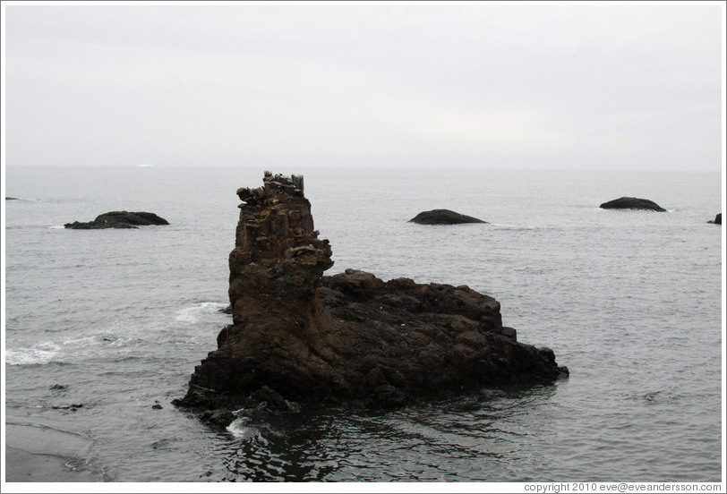 Rocks emerging from the ocean near Livingston Island.