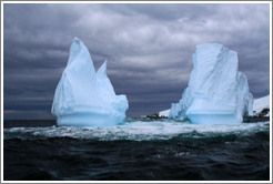 Blue icebergs.