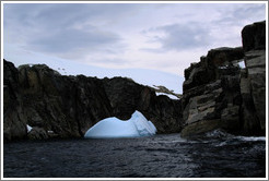 Blue iceberg against the backdrop of one of the Melchior Islands.