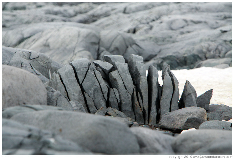 Rock broken by severe ground movement.