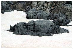 Rock broken by severe ground movement.