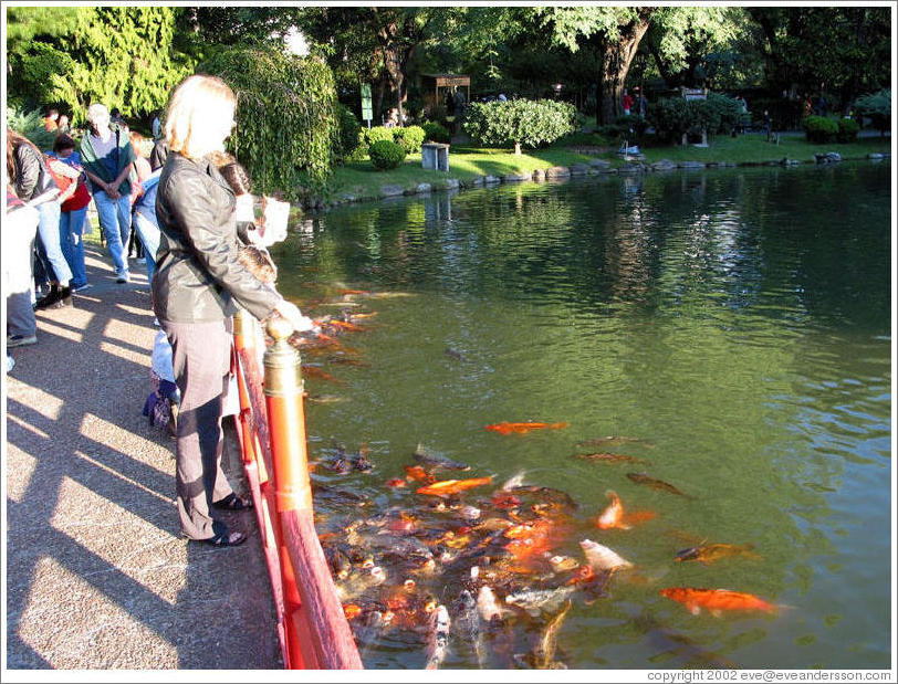 Koi pond, Jard?Japon?(Japonese Garden), Palermo.