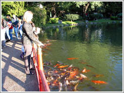 Koi pond, Jard?Japon?(Japonese Garden), Palermo.