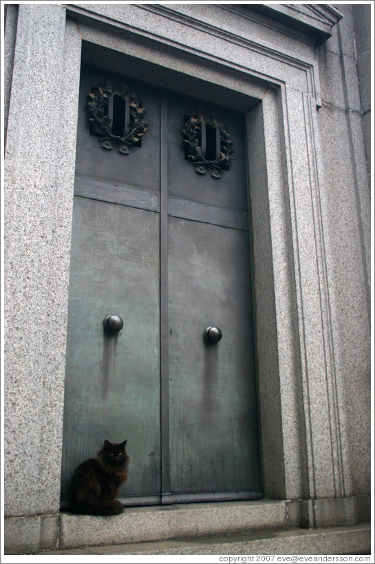 Cat at La Recoleta Cemetery.