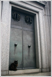 Cat at La Recoleta Cemetery.