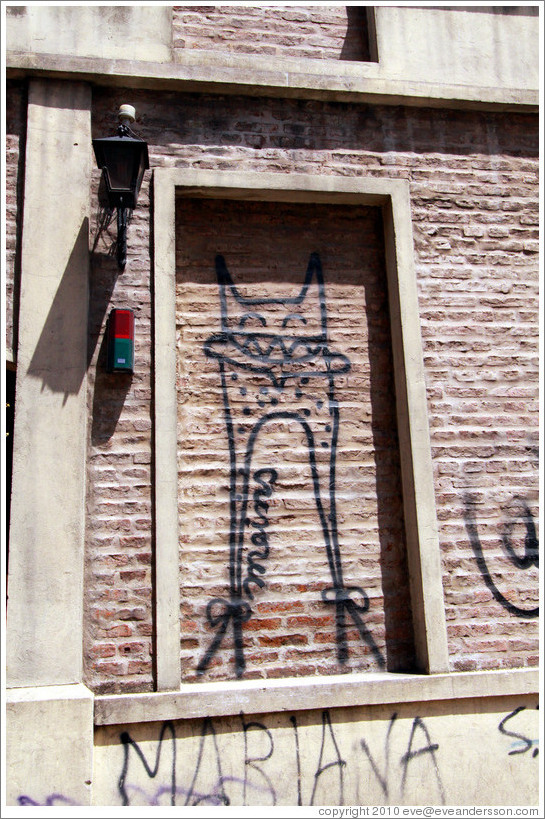 Graffiti, Avenida Bol?r near Avenida Brasil, San Telmo district.