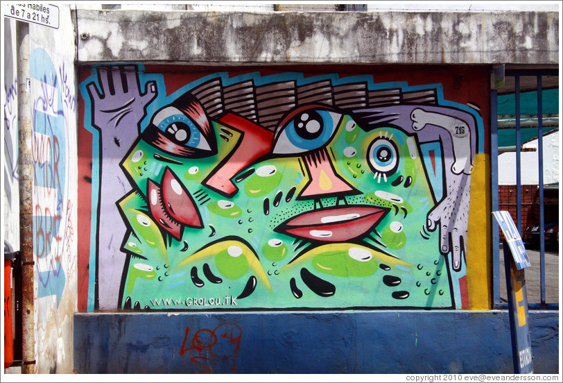 Graffiti, Avenida Bol?r, San Telmo district.