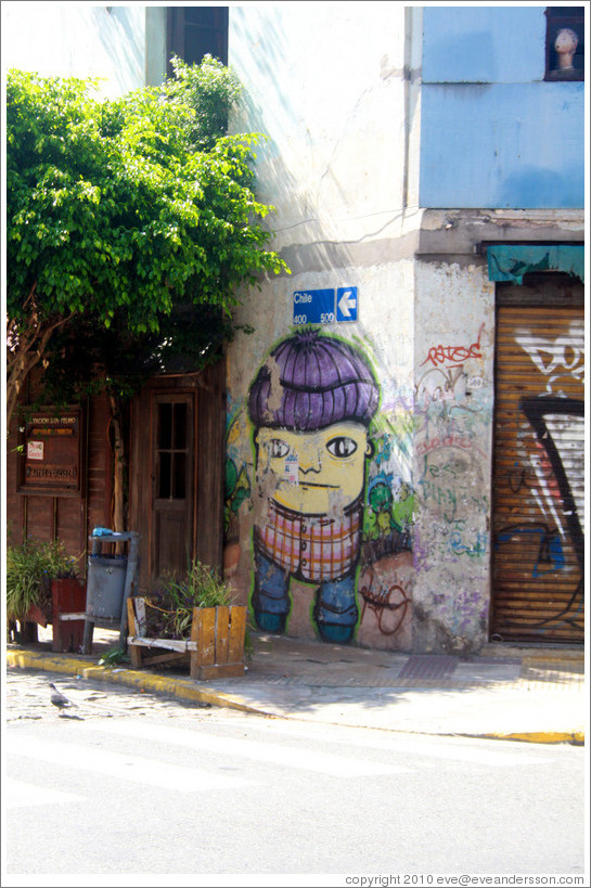 Graffiti (boy with purple hair), Calle Chile and Calle Bol?r, San Telmo district.