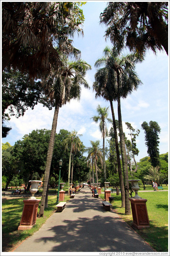 Palm-lined path, Parque Lezama, San Telmo District.