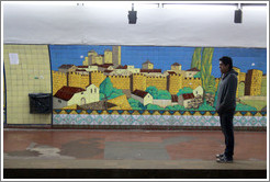 Man in front of a mural, Diagonal Norte station, Subte (Buenos Aires subway).