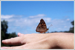 Butterfly on my hand, path to Garganta del Diablo.