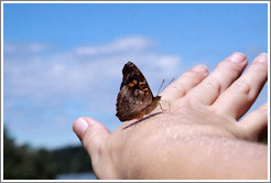 Butterfly on my hand, path to Garganta del Diablo.