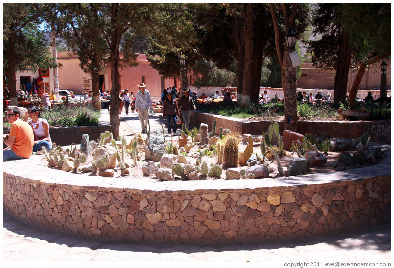 Cactus garden, Plaza Principal.