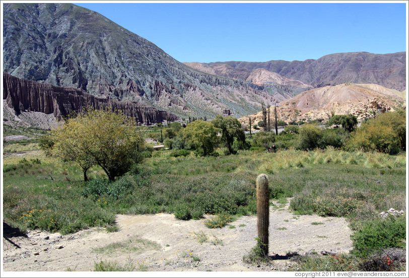 Mountains and cacti seen from Ruta Nacional 52.