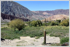 Mountains and cacti seen from Ruta Nacional 52.