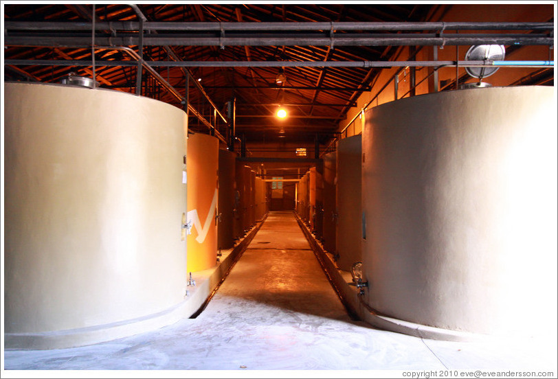 Cement tanks, Kaiken Winery, Luj?de Cujo.