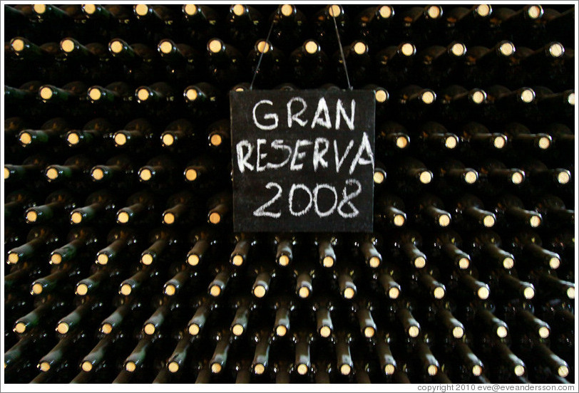 Bottles labeled "Gan Reserva 2008", Roberto Bonfanti, Luj?de Cujo.