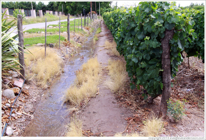 Irrigation channel, Roberto Bonfanti, Luj?de Cujo.