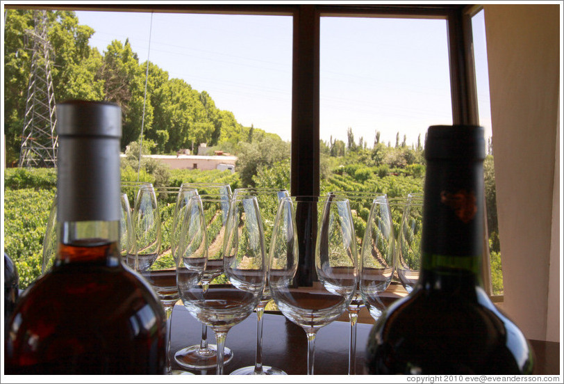 Bottles and glasses with a view over the vineyard, Roberto Bonfanti, Luj?de Cujo.