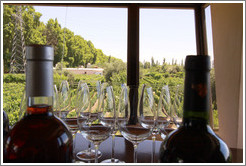 Bottles and glasses with a view over the vineyard, Roberto Bonfanti, Luj?de Cujo.