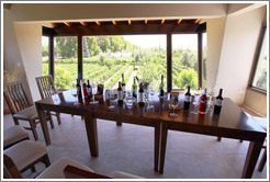 Tasting room, Roberto Bonfanti, Luj?de Cujo.